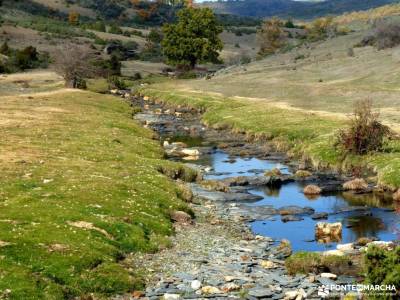 Hayedo Tejera Negra; rutas alto tajo valle de aran senderismo agencias de viajes de aventura rutas y